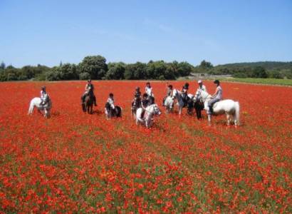 Balade à cheval entre les monts du Vaucluse et le plateau du Luberon