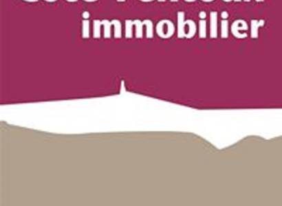 Côté Ventoux Immobilier