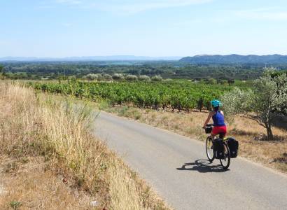 EV17 - ViaRhôna à vélo - Étape 18 - Caderousse > Avignon