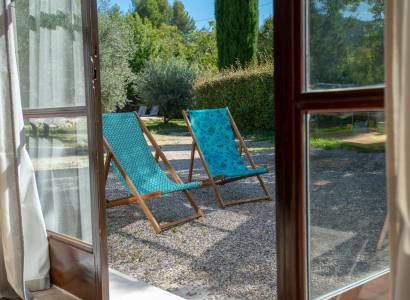 Grandeur Nature - Le Champ des Oliviers