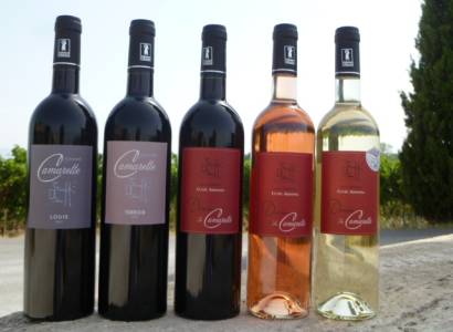 Visite du Domaine de la Camarette