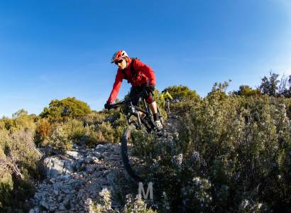 VTT n°35 - Forêt des Cèdres et Tour Philippe