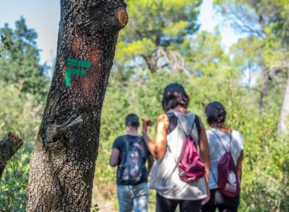 R06 Sentier Boissouteyrand - Mondragon