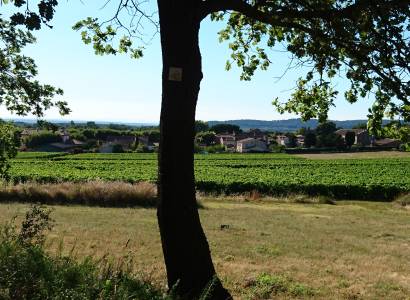 VTT n°40 - Ubac du Petit Luberon