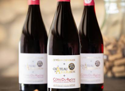 Vignobles des Templiers - Château d'Aiguilhon
