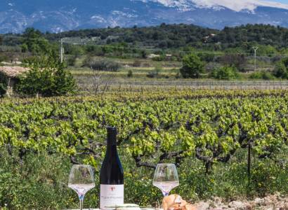 Pique-niques vignerons au Domaine Plein Pagnier