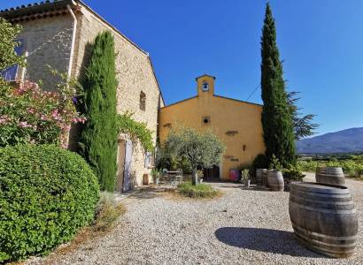 Visite de cave et du vignoble - Domaine le Van