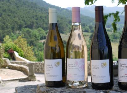 Visite du vignoble - Domaine de l'Amauve