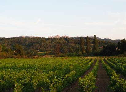 Domaine des Pasquiers