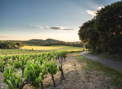 Domaine Beauvence