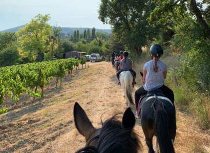 Randonnées, cours et stages du Club De Flicka
