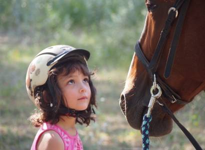 Cheval Enjeu, équitation relationnelle