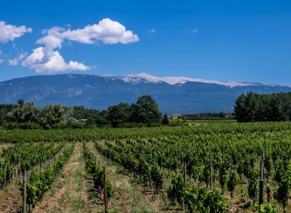 Domaine LESCHANCEL