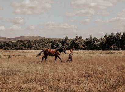 Holy' Day Ranch