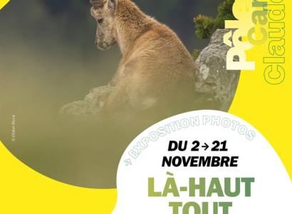 Exposition - "Là-haut, tout là-haut..."