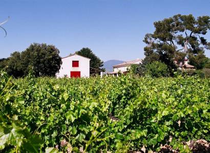Apéritif Vigneron au Domaine de Marotte