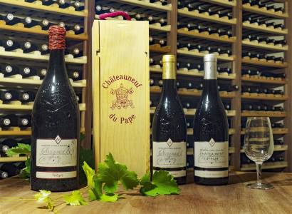Domaine Cyril Coulon