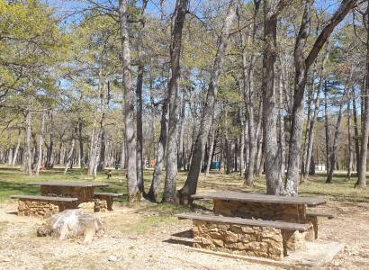 Aire de pique nique des bois du Defends