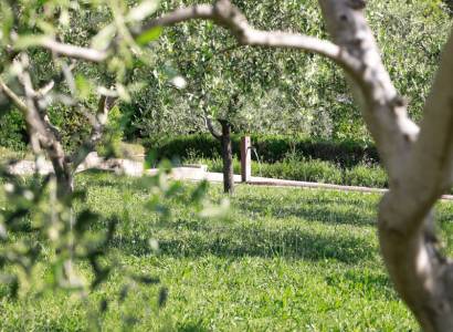 Le Jardin des 9 Damoiselles