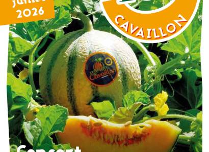 Melon en fête
