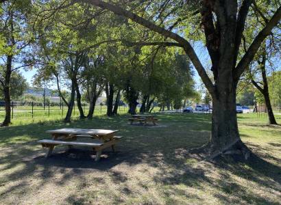 Aire de pique-nique du Parc du Grenouillet