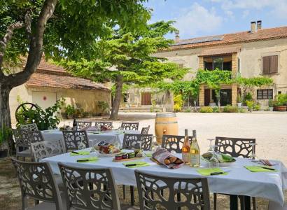 Dégustation et pique-nique - Domaine des Favards