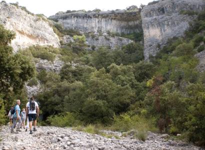 Combe de Curnier