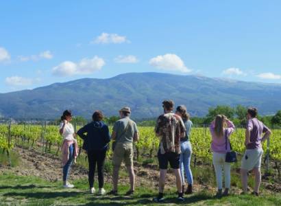 Balade vigneronne gourmande - Terre de Ghaya