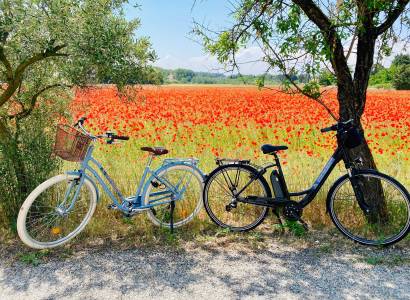 Orange Bike Via Rhôna
