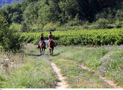Collines et vignobles : Luberon, Dentelles de Montmirail, Pied du Ventoux