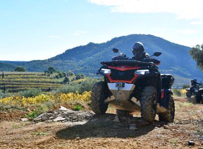 Dentelles Quad Vaucluse