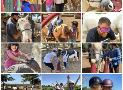 Ateliers, stages, balades, animations à la ferme du Lucky horse