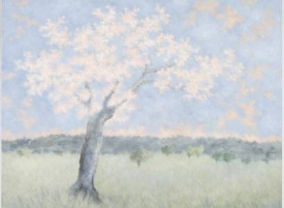 Atelier Galerie "Les Lumières du Vent" - Karibou