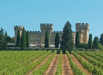 Châteauneuf du pape, son célèbre vignoble et ses illustres personnages : Balade accompagnée à vélo