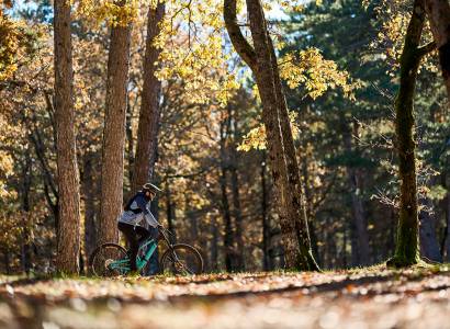 SAULT - Le Bois du Défends à VTT