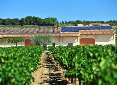 Domaine Elodie Balme