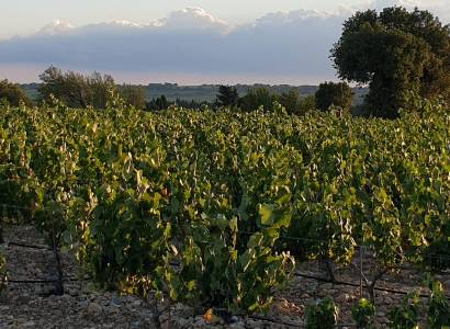Domaine Font de Courtedune