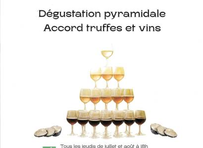 Dégustation Pyramidale au domaine du Faucon Doré