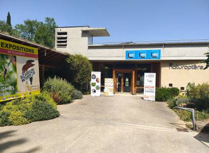 Ateliers créatifs : Botaniste en herbe