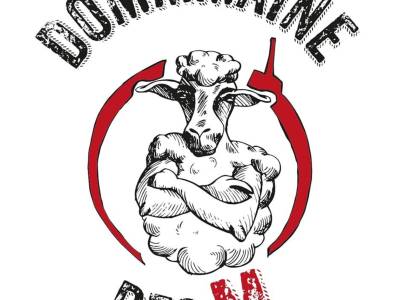 Visite du vignoble et de la cave - Dommmaine des M