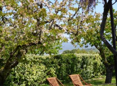 Les Cerisiers - Domaine des Finets