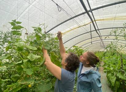 Festival Ventoux Saveurs : Dégustation des produits de la ferme