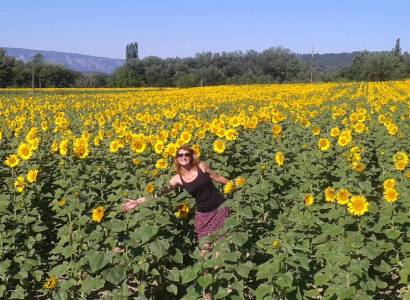 Provence Excursions - Circuits touristiques - tours privés et transferts