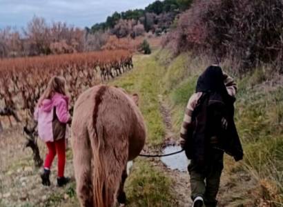 Rendez-vous nature "L'âne et la campagne" - Domaine des Adrès