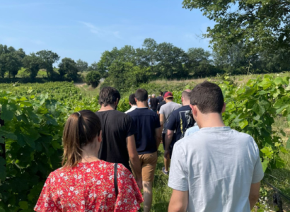 Au coeur du vignoble au Domaine " Le Novi"