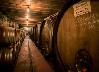 Visite de chai et dégustation au Domaine Pierre Amadieu