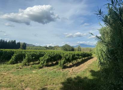 Balade pédestre au Domaine du Vas