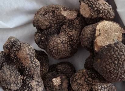 Marché Complice à la truffe blanche