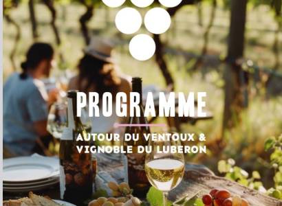 Vignobles en Scène : A la conquête de l'or vert au Moulin Bastide du Laval à Cadenet