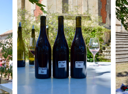 Atelier Assemblage des vins au Château Fortia
